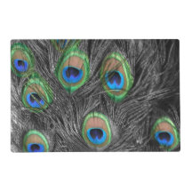 Schwarzweiss-Pfau-Feder