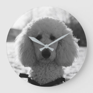 Schwarzweiss-Pudel-Gesichts-Welpen-Augen Große Wanduhr