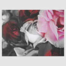 Schwarzweiss-Rosen verblassen