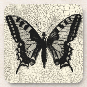 Schwarzweiss-Schmetterling auf gebrochenem Getränkeuntersetzer