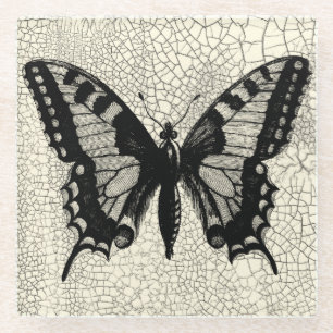 Schwarzweiss-Schmetterling auf gebrochenem Glasuntersetzer
