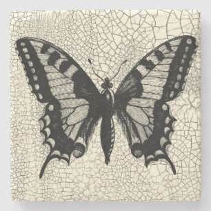 Schwarzweiss-Schmetterling auf gebrochenem Steinuntersetzer