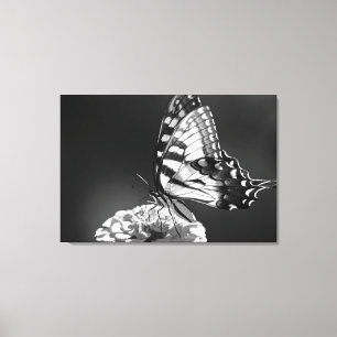 Schwarzweiss-Schmetterlings-Leinwand Leinwanddruck