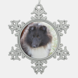 Schwarzweiss-Sheltie Schneeflocken Zinn-Ornament