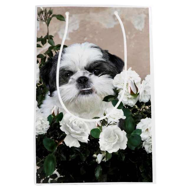 Schwarzweiss-Shih Tzu Mittlere Geschenktüte (Vorderseite)