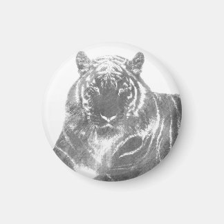 Schwarzweiß-Tiger Magnet