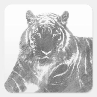 Schwarzweiß-Tiger Quadratischer Aufkleber