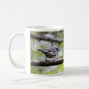 Schwarzweiss-Trällerer Kaffeetasse
