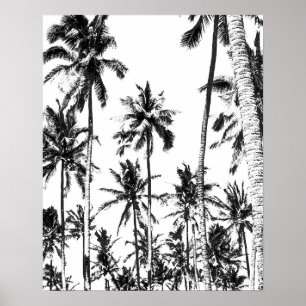 Schwarzweiss-tropischer Sommer der Palme Poster