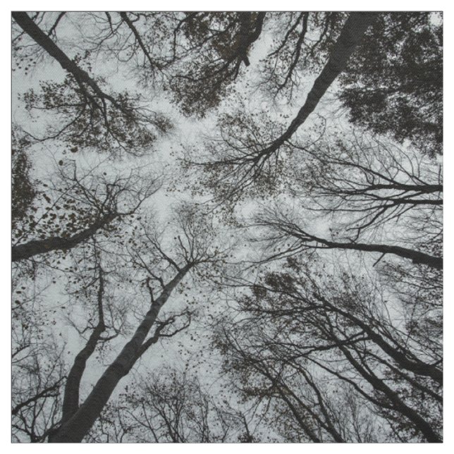 Schwarzweiss-Walddecke Stoff (Muster)