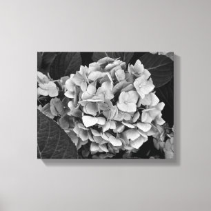 Schwarzweiss-Wandkunst Hydrangea Leinwanddruck