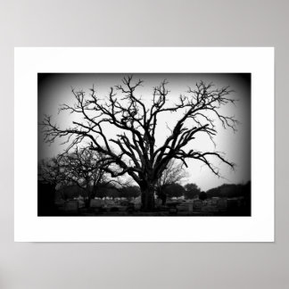 Schwarzweißbaum im Friedhof Poster