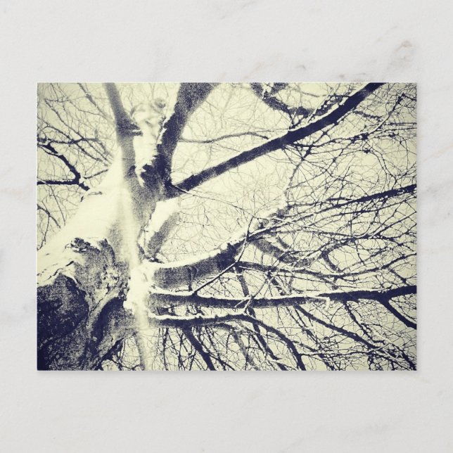 Schwarzweißbaum Postkarte (Vorderseite)