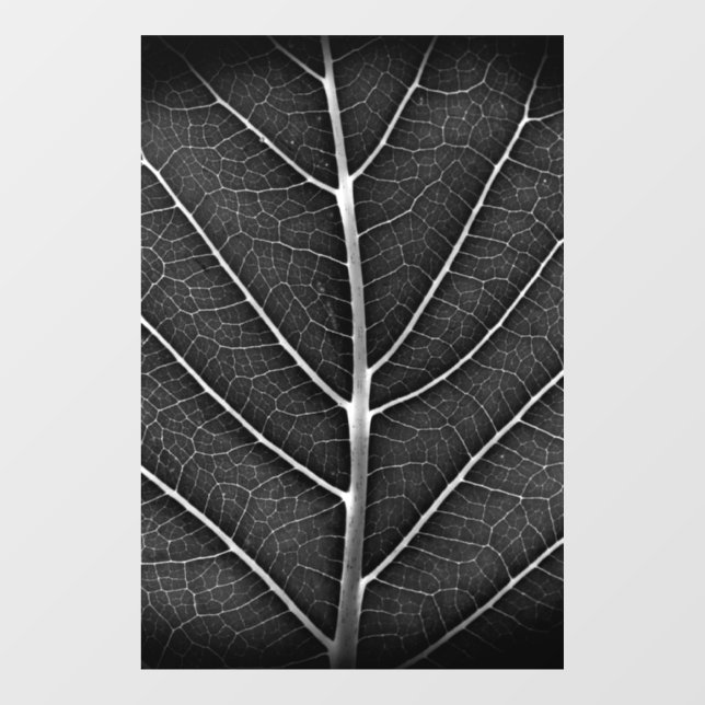 Schwarzweißblatt nah fensteraufkleber (Blatt)