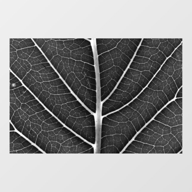 Schwarzweißblatt nah fensteraufkleber (Blatt)