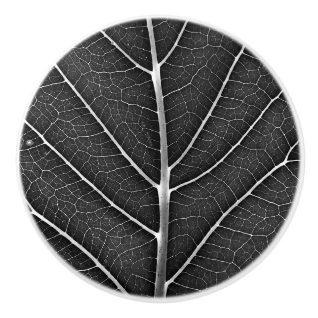 Schwarzweißblatt nah keramikknauf (Vorderseite)