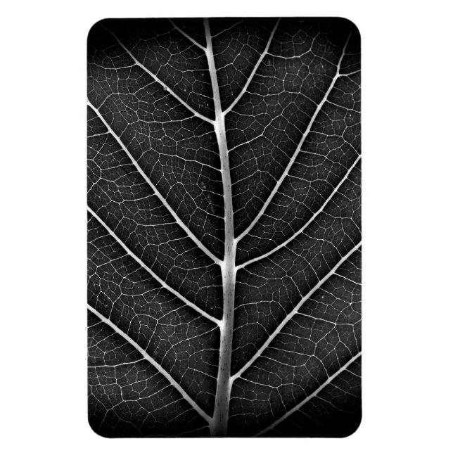 Schwarzweißblatt nah magnet (Vertikal)