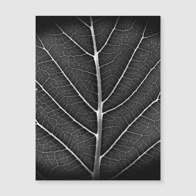 Schwarzweißblatt nah magnetkarte (Vorderseite)