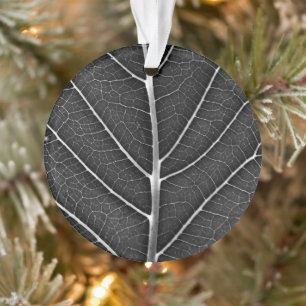 Schwarzweißblatt nah ornament