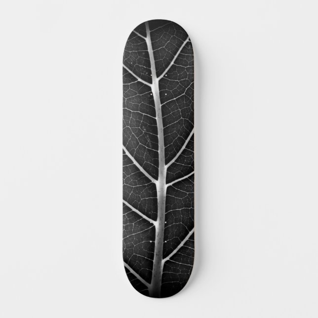 Schwarzweißblatt nah skateboard (Vorderseite)
