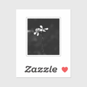 Schwarzweißblumen Aufkleber
