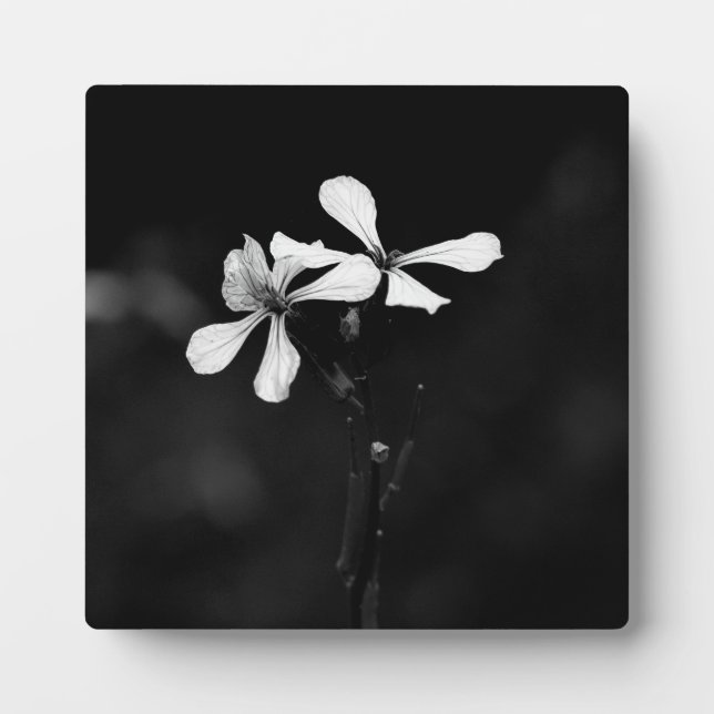 Schwarzweißblumen Fotoplatte (Vorderseite)