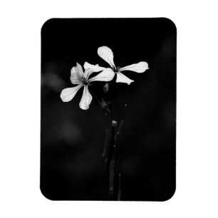 Schwarzweißblumen Magnet