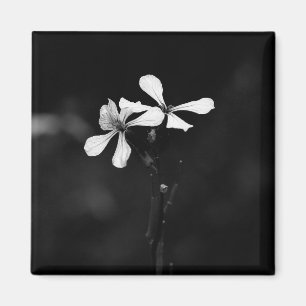 Schwarzweißblumen Magnet