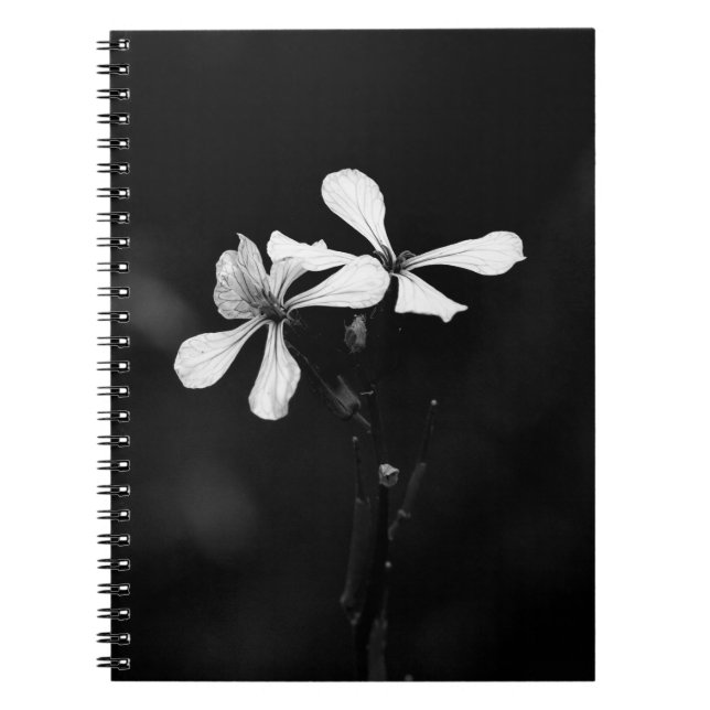 Schwarzweißblumen Notizblock (Vorderseite)