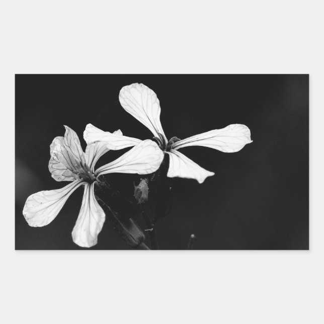 Schwarzweißblumen Rechteckiger Aufkleber (Vorderseite)