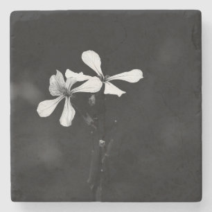 Schwarzweißblumen Steinuntersetzer