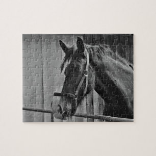 Schwarzweißes Pferd - Tierfotografie Kunst