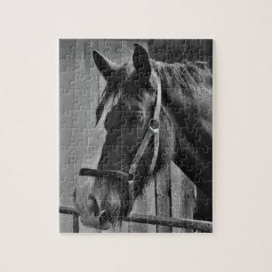 Schwarzweißes Pferd - Tierfotografie Kunst