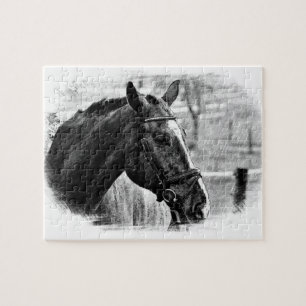 Schwarzweißes Pferd - Tierfotografie Kunst