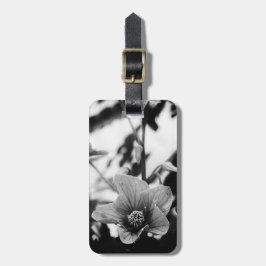 Schwarzweißfotografie Gepäckanhänger