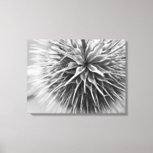 Schwarzweißfotografie mit Blumen Leinwanddruck