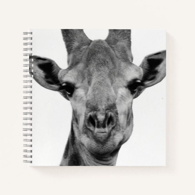 Schwarzweißfotografie Notizbuch (Vorderseite)