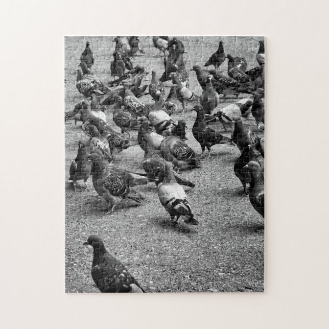 Schwarzweißfotografie vieler Tauben (Vertikal)