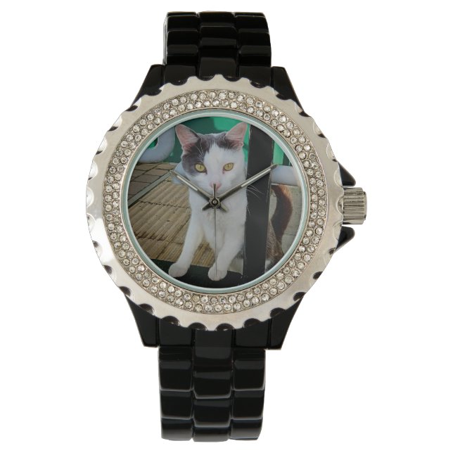 Schwarzweißkatze Armbanduhr (Vorderseite)