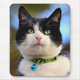 Schwarzweißkatze Mousepad