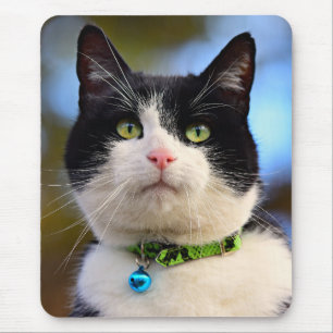 Schwarzweißkatze Mousepad