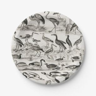 Schwarzweißornithologie-Vogelsammlung Pappteller