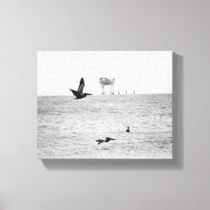 Schwarzweißpelikane über dem Ozean 8x10 Leinwanddruck