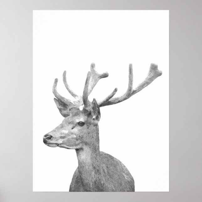Schwarzweißportrait Poster (Vorne)