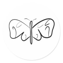 Schwarzweißschmetterling
