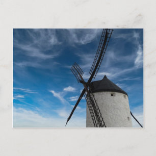 Schwarzweißwinde Postkarte