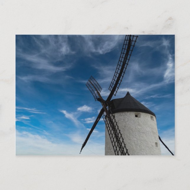 Schwarzweißwinde Postkarte (Vorderseite)