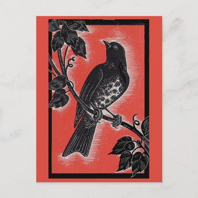 Schwarzwurgel mit Rot Postkarte (Vorderseite)