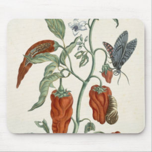 Schwarzwurz, von "einem neugierigen Kräuter", 178 Mousepad