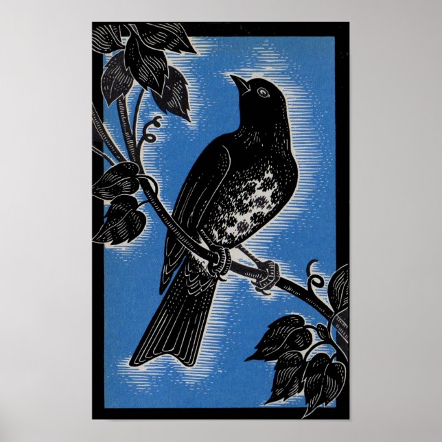 Schwarzwurzel mit Blau Poster (Vorne)